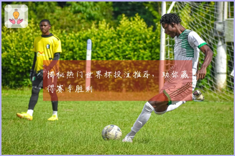 揭秘热门世界杯投注推荐，助你赢得赛季胜利