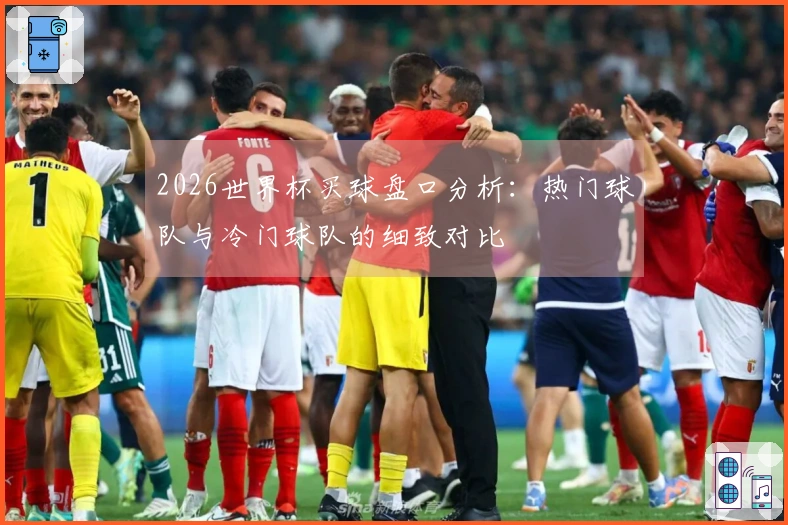 2026世界杯买球盘口分析：热门球队与冷门球队的细致对比