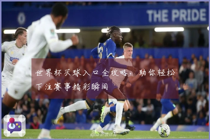 世界杯买球入口全攻略，助你轻松下注赛事精彩瞬间
