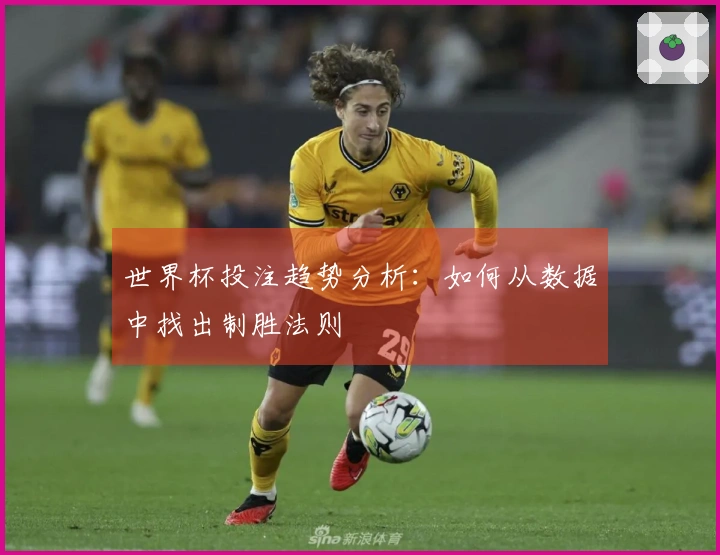 世界杯投注趋势分析：如何从数据中找出制胜法则