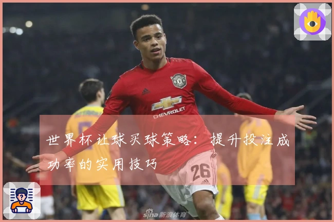 世界杯让球买球策略：提升投注成功率的实用技巧